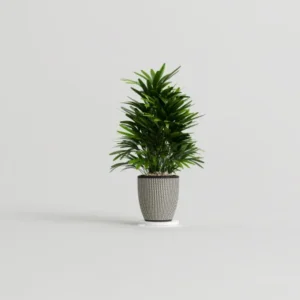 plant07